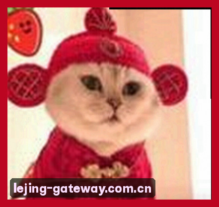 刘芳